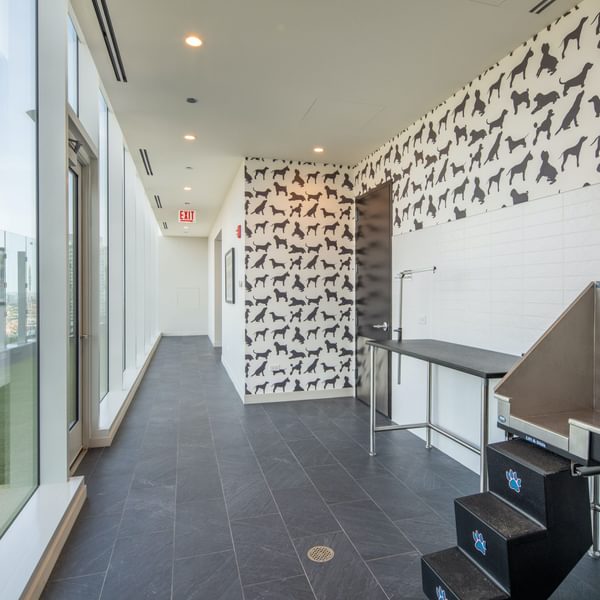 868 N Wells Dog Wash