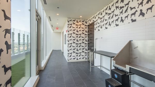 868 N Wells Dog Wash