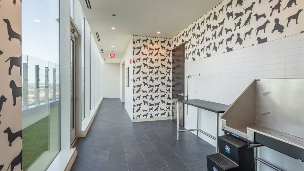 868 N Wells Dog Wash