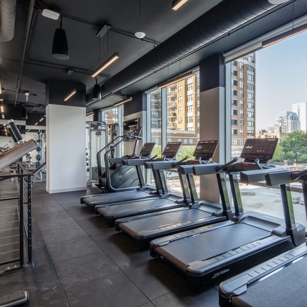 Level 02 Fitness Web