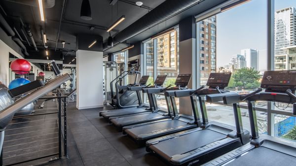 Level 02 Fitness Web