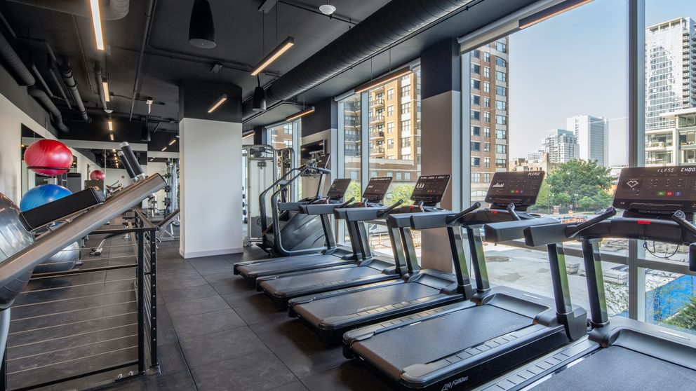 Level 02 Fitness Web