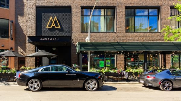 Maple Ash 2